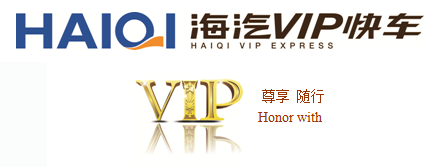 99499˹VIP쳵.png